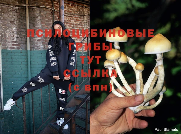 бошки Слюдянка