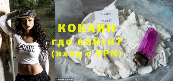 крисы Бронницы