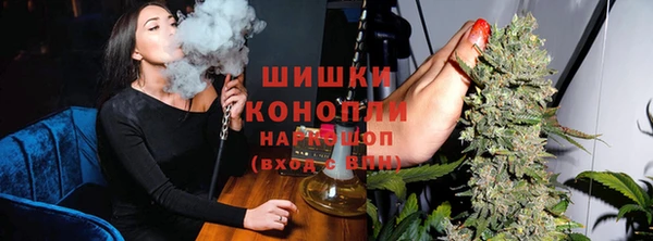 крисы Бронницы